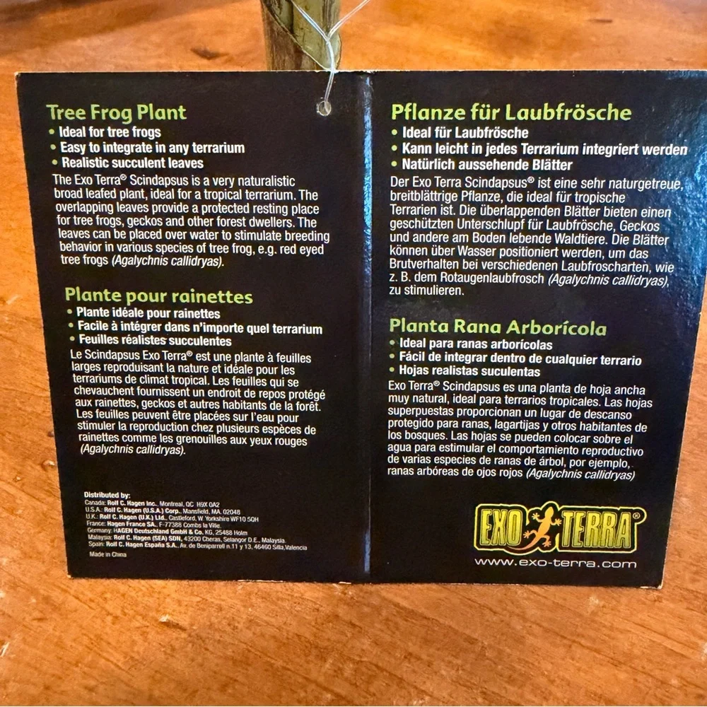 New Exo-Terra Smart Plant Scindapsus Ideal for Terrariums